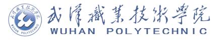 武漢職業(yè)技術(shù)學(xué)院
